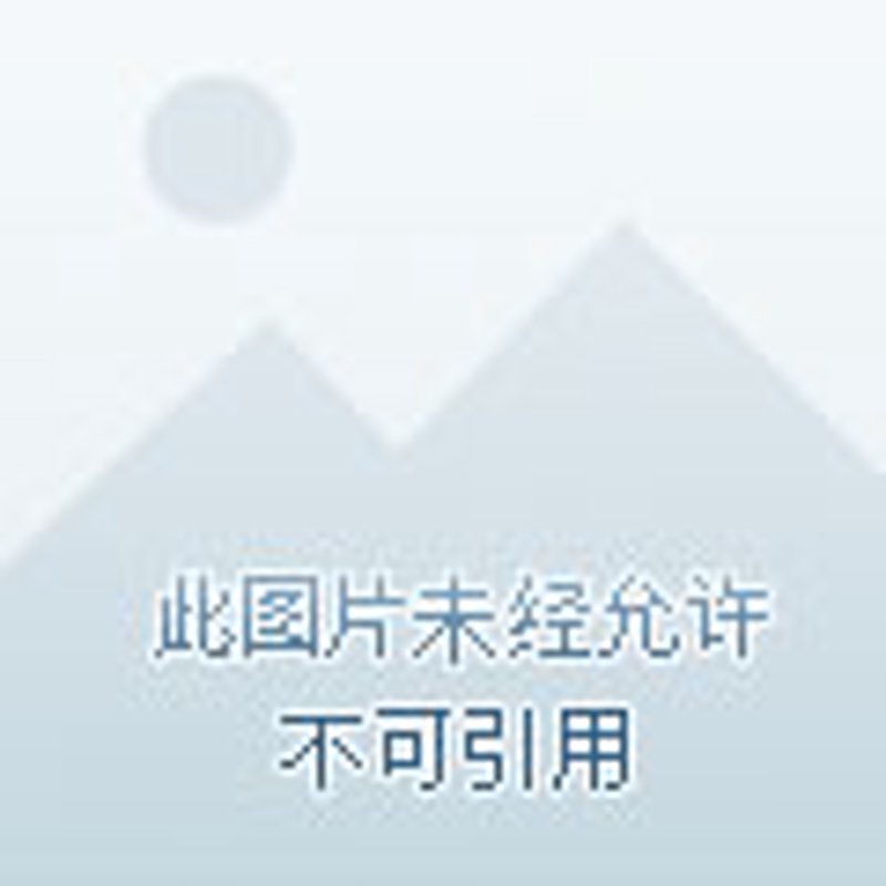 九江贸易吉盛有限公司主营哪些产品？这是一个值得关注的问题。