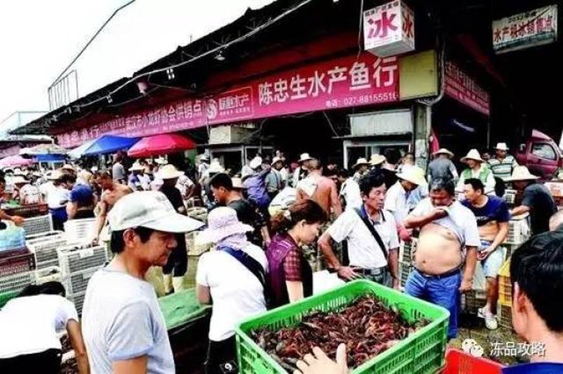 惠民外贸家园：如何在家轻松实现外贸梦想？